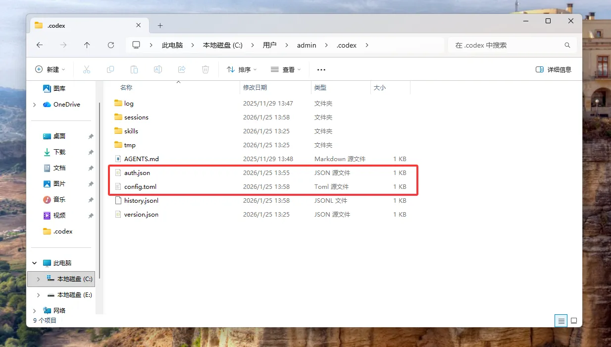 .codex config folder